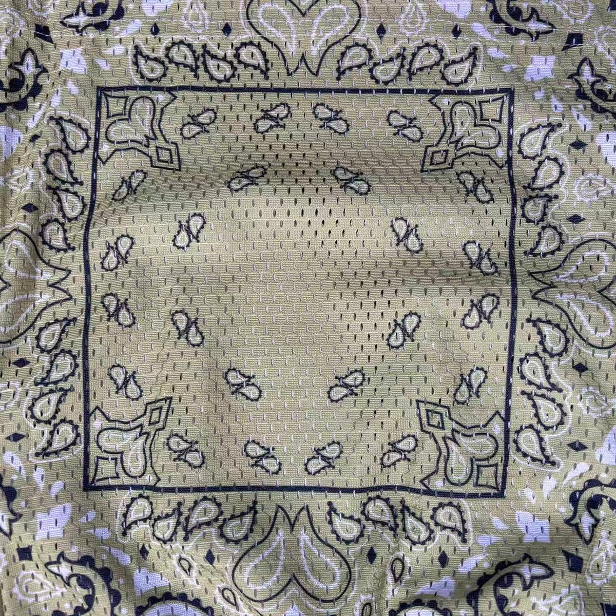 BANDANA V4 MESH SHORTS-8769